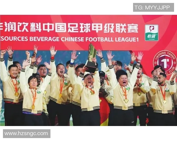 中甲联赛精彩对决辽宁队迎战石家庄队全力争胜