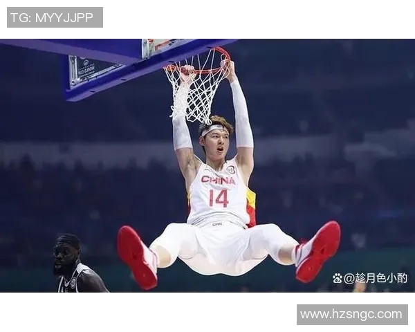 王哲林在CBA赛场的崛起与挑战解析，未来篮球之路的展望与期待