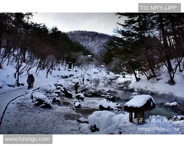 群马温泉与冈山绿的魅力对比探讨与旅游推荐